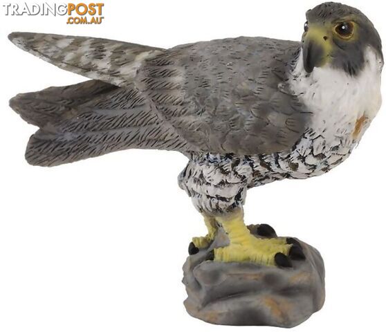 CollectA - Peregrine Falcon Bird Small Figurine - Rpco88399 - 4892900883991