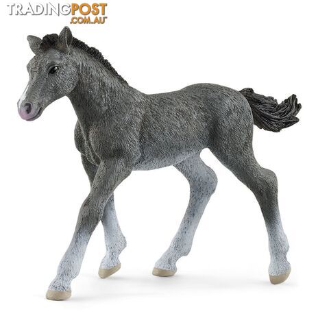 Schleich - Trakehner Foal Figurine - Mdsc13944 - 4059433461106