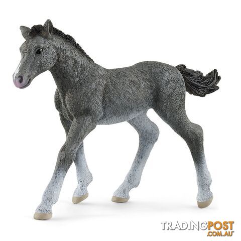 Schleich - Trakehner Foal Figurine - Mdsc13944 - 4059433461106