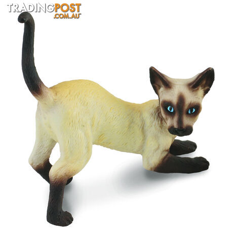 CollectA Siamese Cat Stretching Animal Figurine - Rpco88332 - 4892900883328