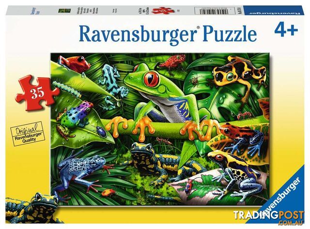 Ravensburger - Amazing Amphibians Jigsaw Puzzle 35pc Rb05174 - 4005556051748