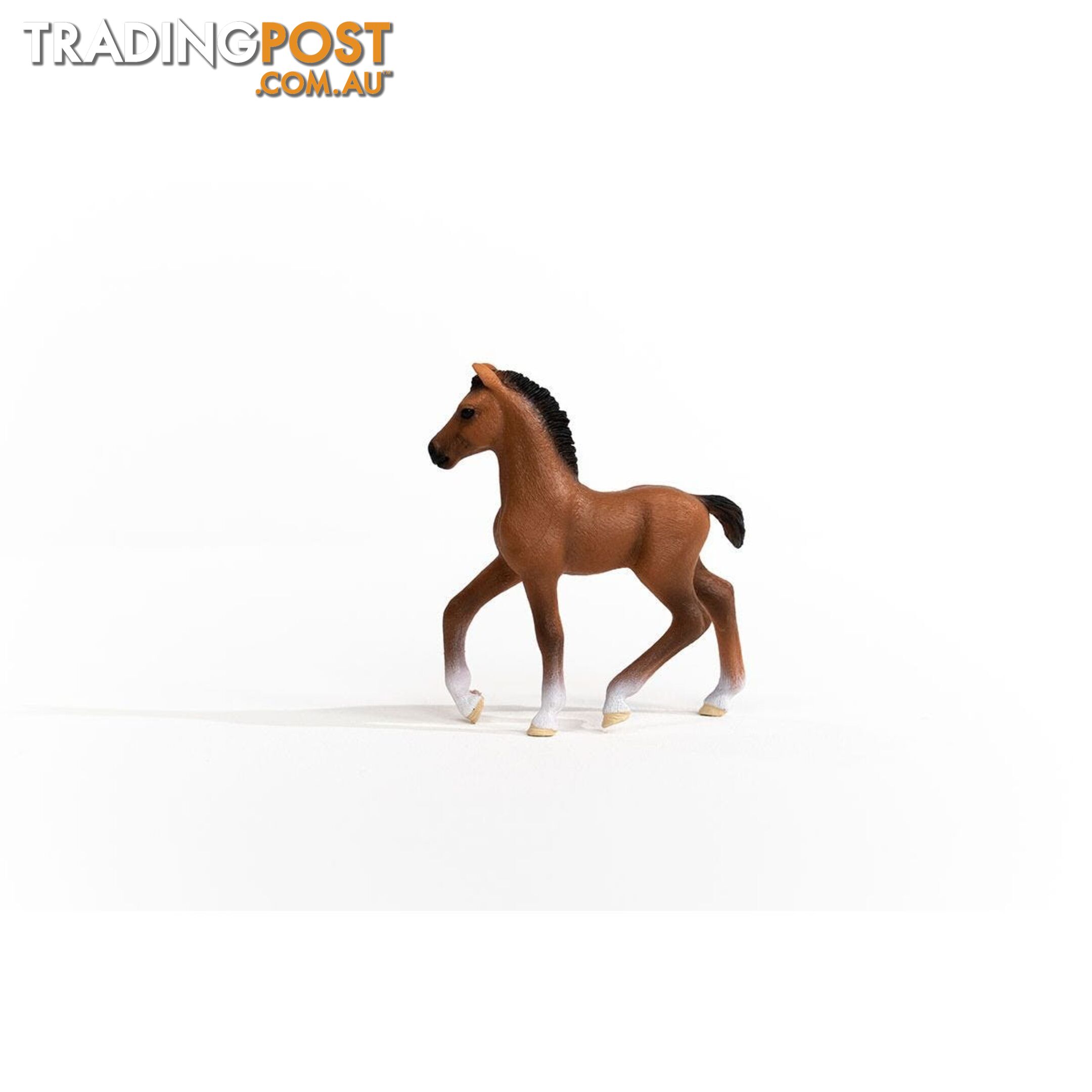Schleich - Oldenburger Foal Horse Figurine - Mdsc13947 - 4059433432977
