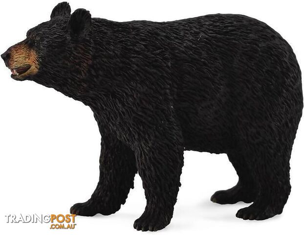 CollectA - American Black Bear Wild Animal Figurine - Rpco88698 - 4892900886985