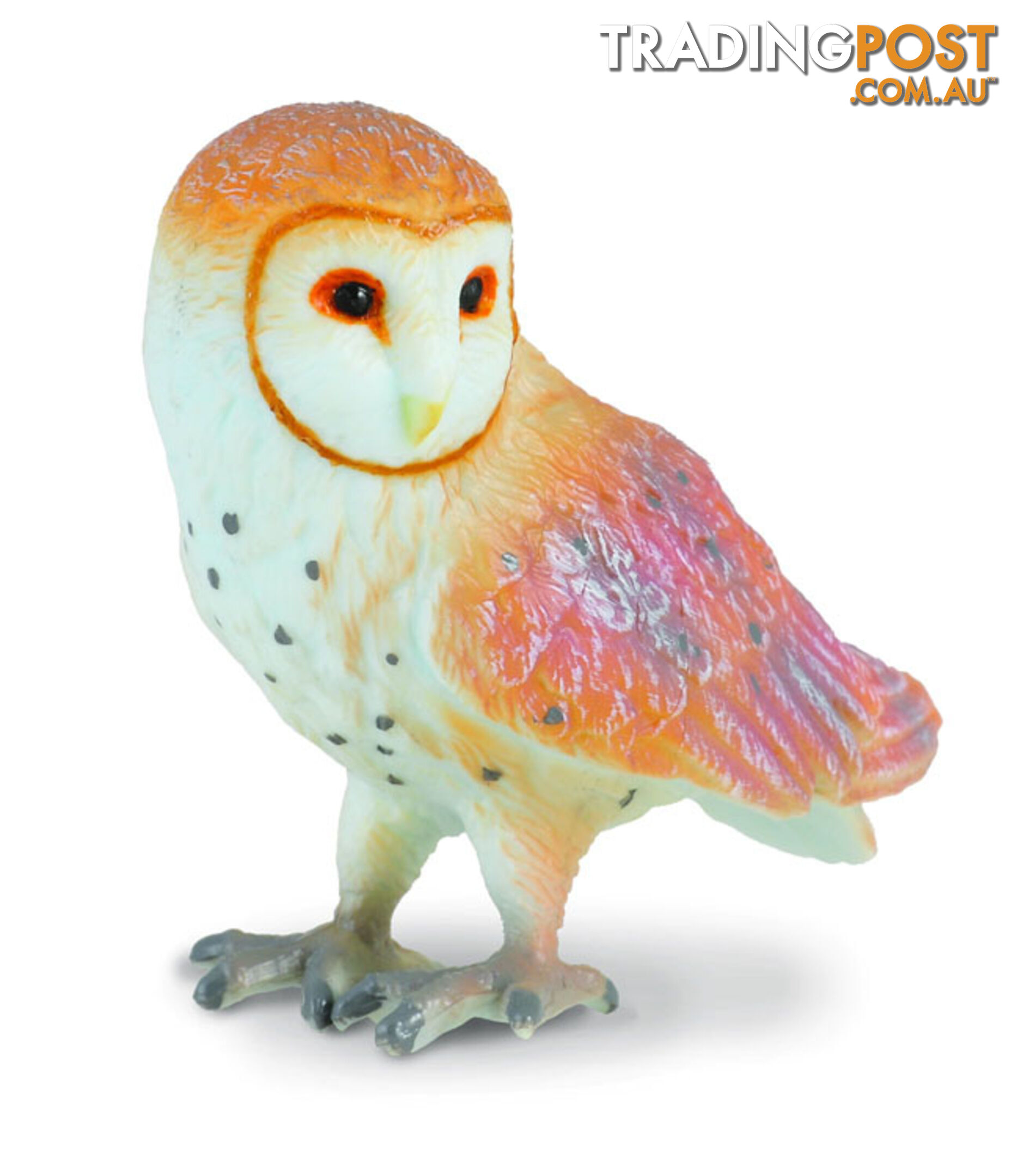 CollectA Barn Owl Small Animal Figurine - Rpco88003 - 4892900880037