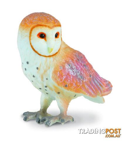 CollectA Barn Owl Small Animal Figurine - Rpco88003 - 4892900880037