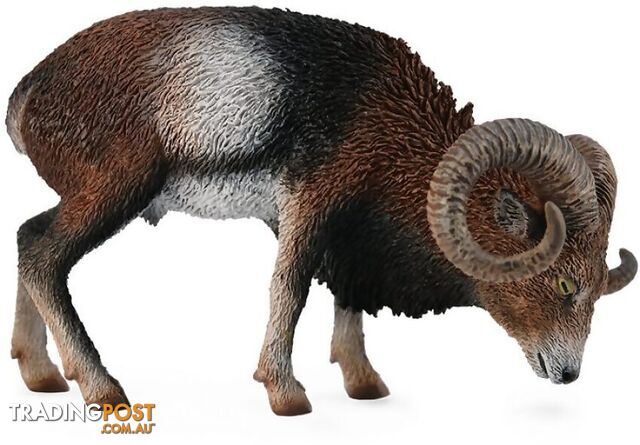 CollectA - European Mouflon Large Wild Animal Figurine - Rpco88682 - 4892900886824