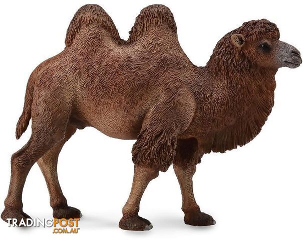 CollectA - Bactrian Camel Large Figurine - Rpco88071 - 4892900888071