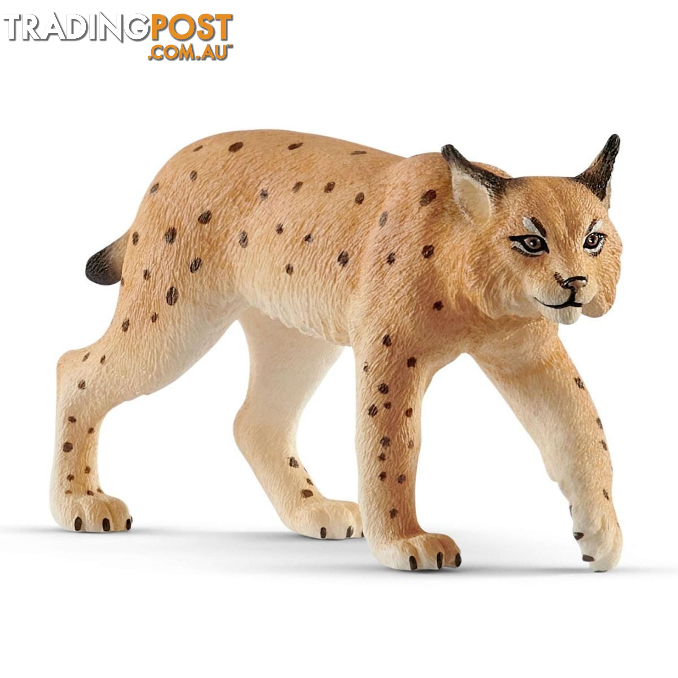 Schleich - Lynx Sc14822 - 4055744029646