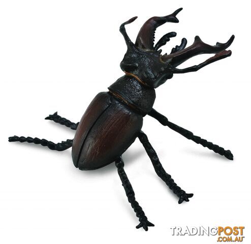 CollectA Stag Beetle Animal Figurine - Rpco88703 - 4892900887036