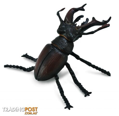 CollectA Stag Beetle Animal Figurine - Rpco88703 - 4892900887036