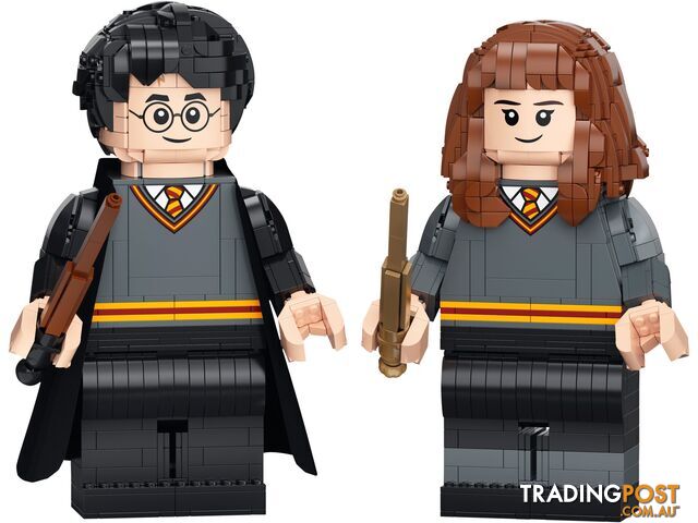 LEGO 76393 Harry Potter & Hermione Granger - Harry Potter - 5702016971637