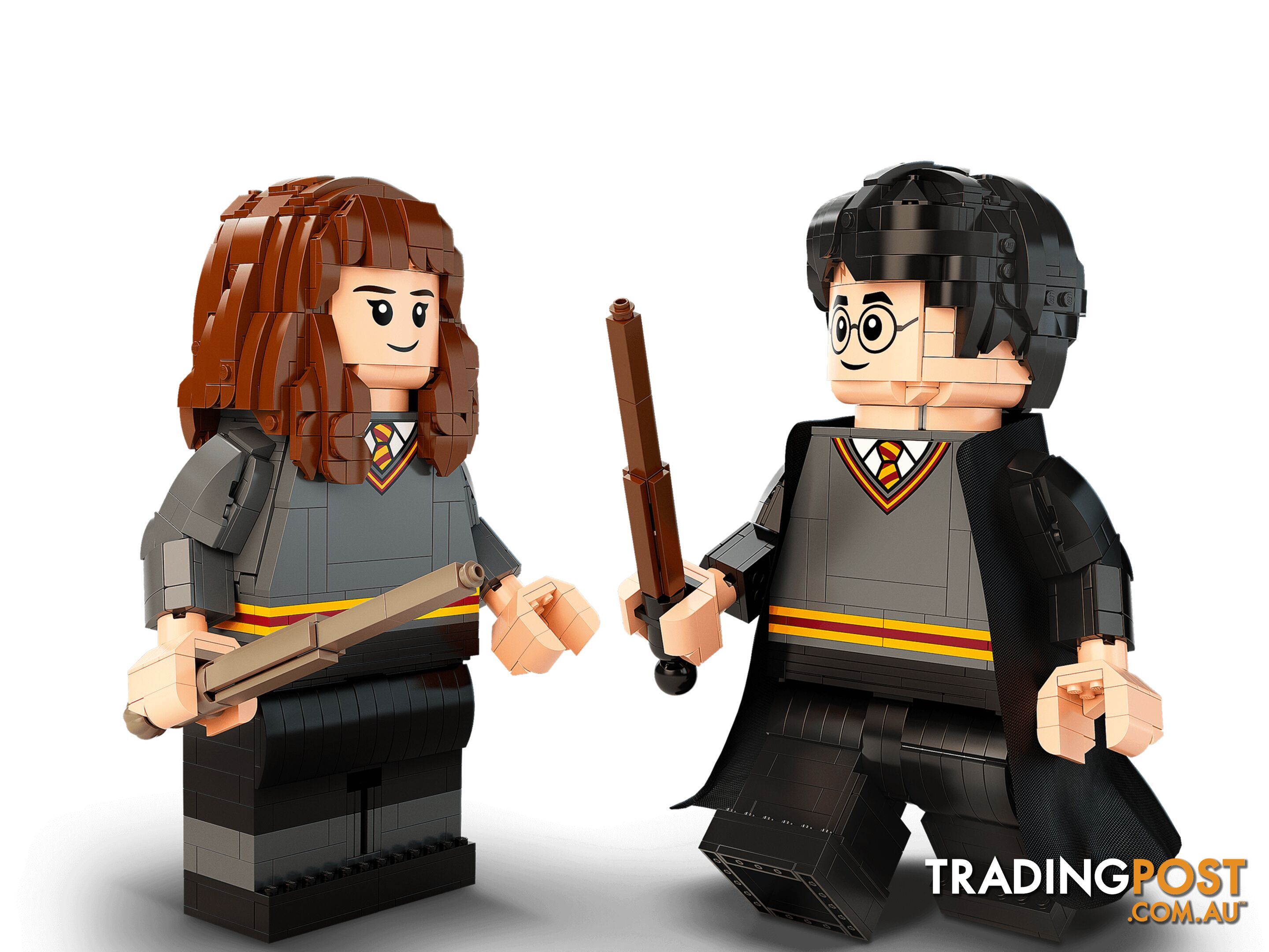 LEGO 76393 Harry Potter & Hermione Granger - Harry Potter - 5702016971637