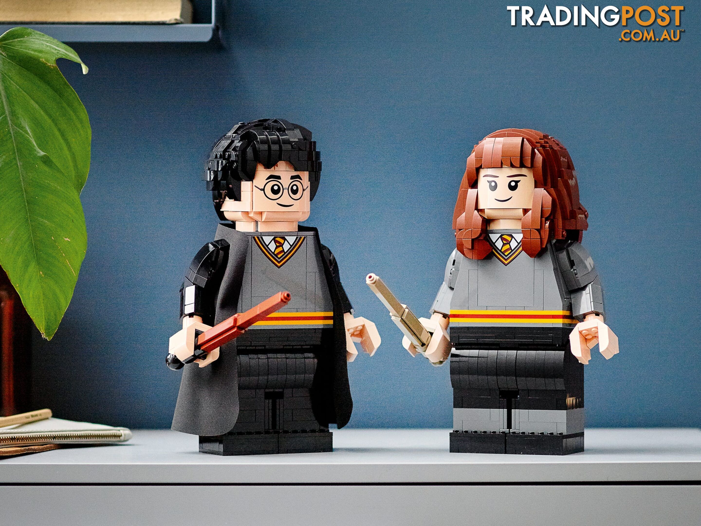 LEGO 76393 Harry Potter & Hermione Granger - Harry Potter - 5702016971637