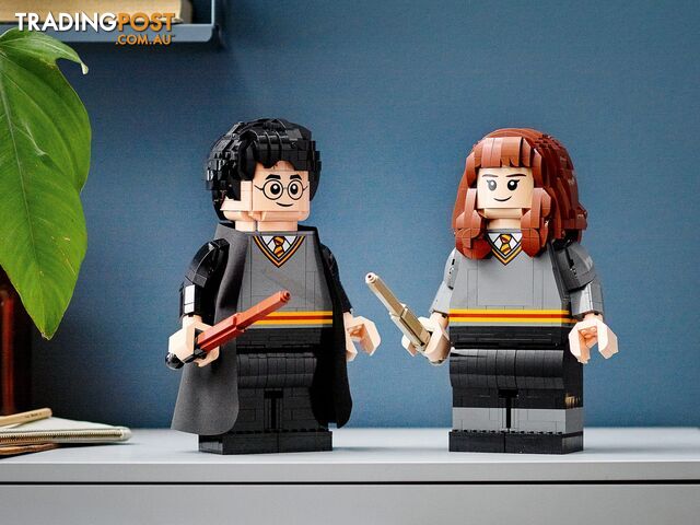 LEGO 76393 Harry Potter & Hermione Granger - Harry Potter - 5702016971637