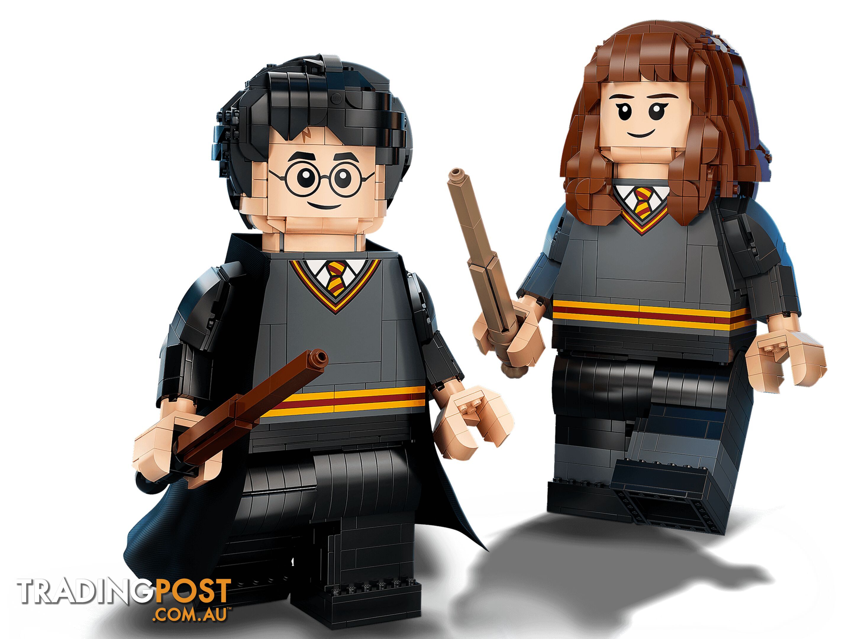 LEGO 76393 Harry Potter & Hermione Granger - Harry Potter - 5702016971637