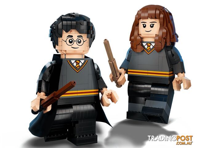 LEGO 76393 Harry Potter & Hermione Granger - Harry Potter - 5702016971637