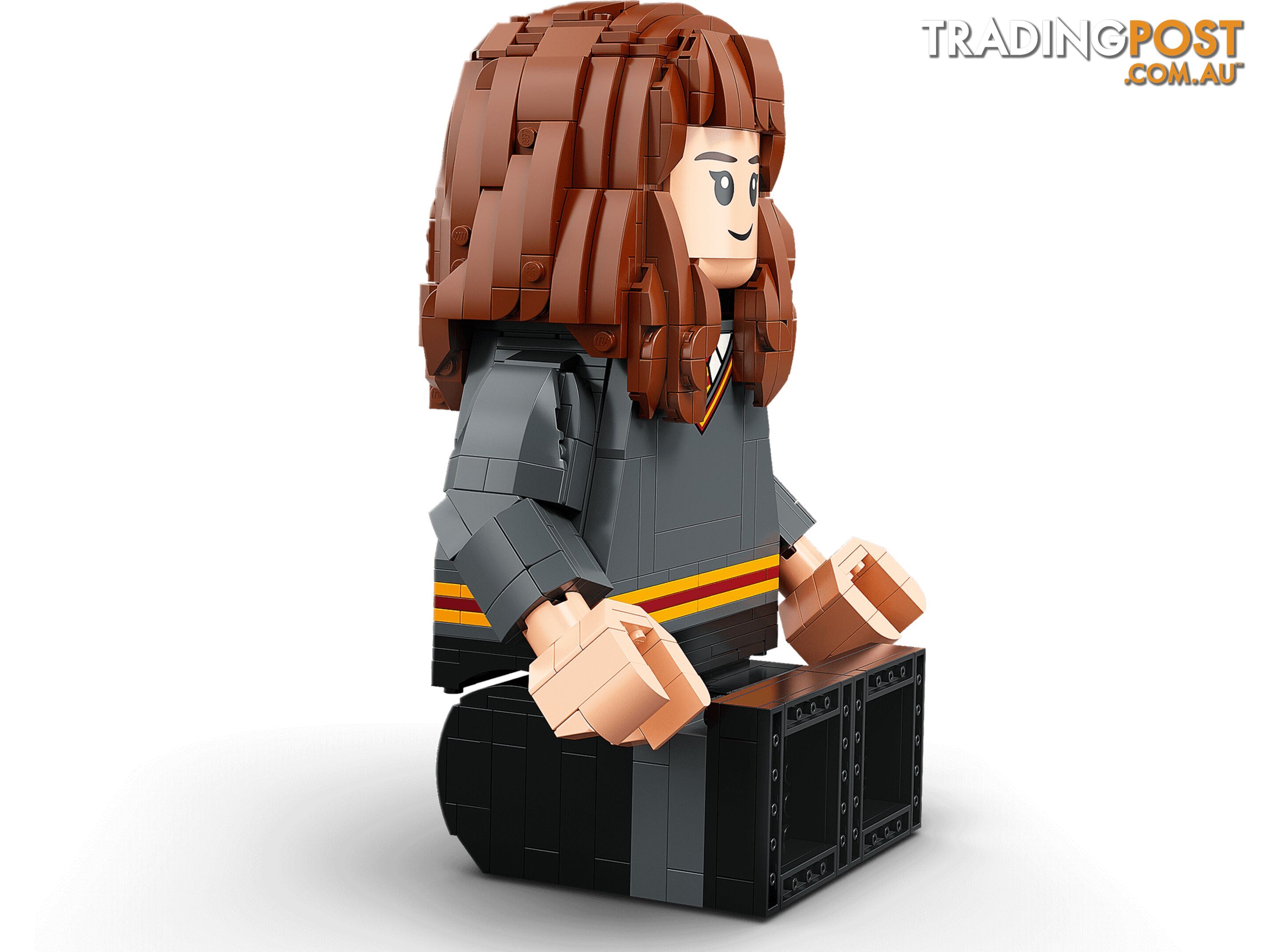 LEGO 76393 Harry Potter & Hermione Granger - Harry Potter - 5702016971637