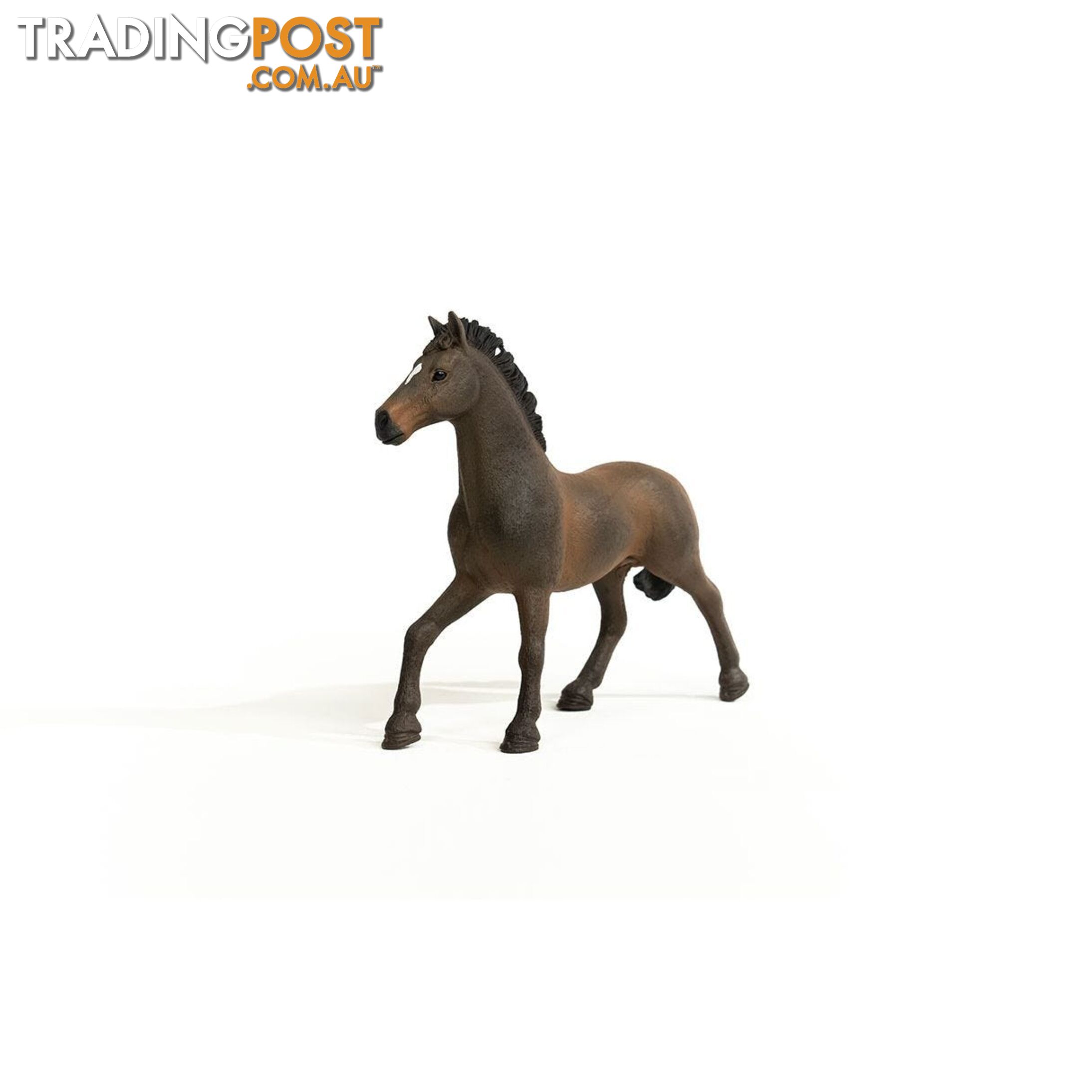 Schleich - Oldenburger Stallion Horse Figurine - Mdsc13946 - 4059433379487
