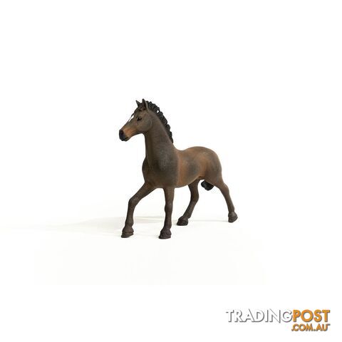 Schleich - Oldenburger Stallion Horse Figurine - Mdsc13946 - 4059433379487