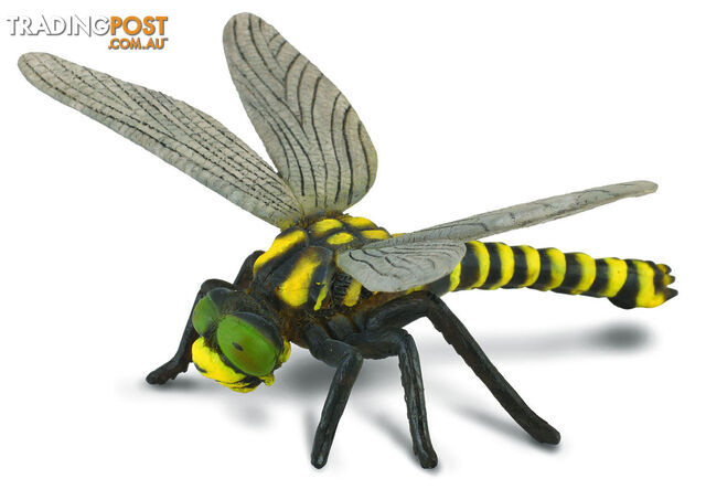 CollectA Golden Ringed Dragonfly Animal Figurine - Rpco88350 - 4892900883502
