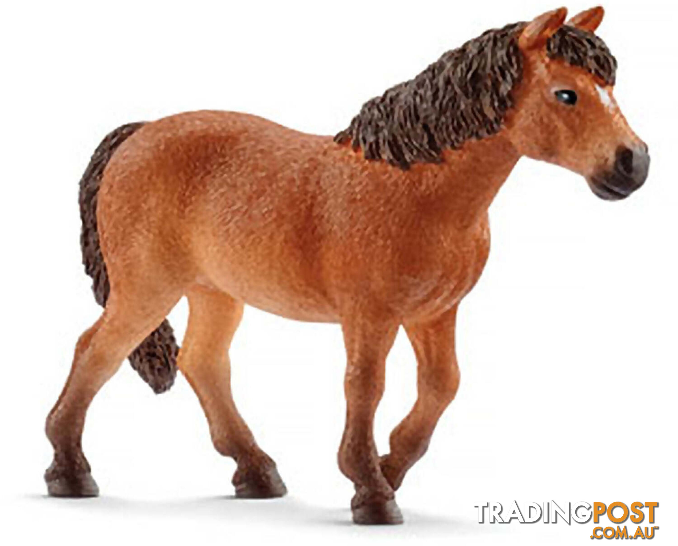 Schleich - Dartmoor Pony Mare - Mdsc13873 - 4055744020551