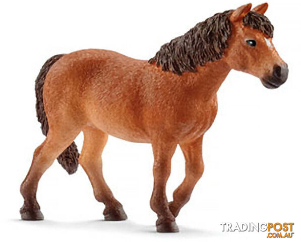 Schleich - Dartmoor Pony Mare - Mdsc13873 - 4055744020551