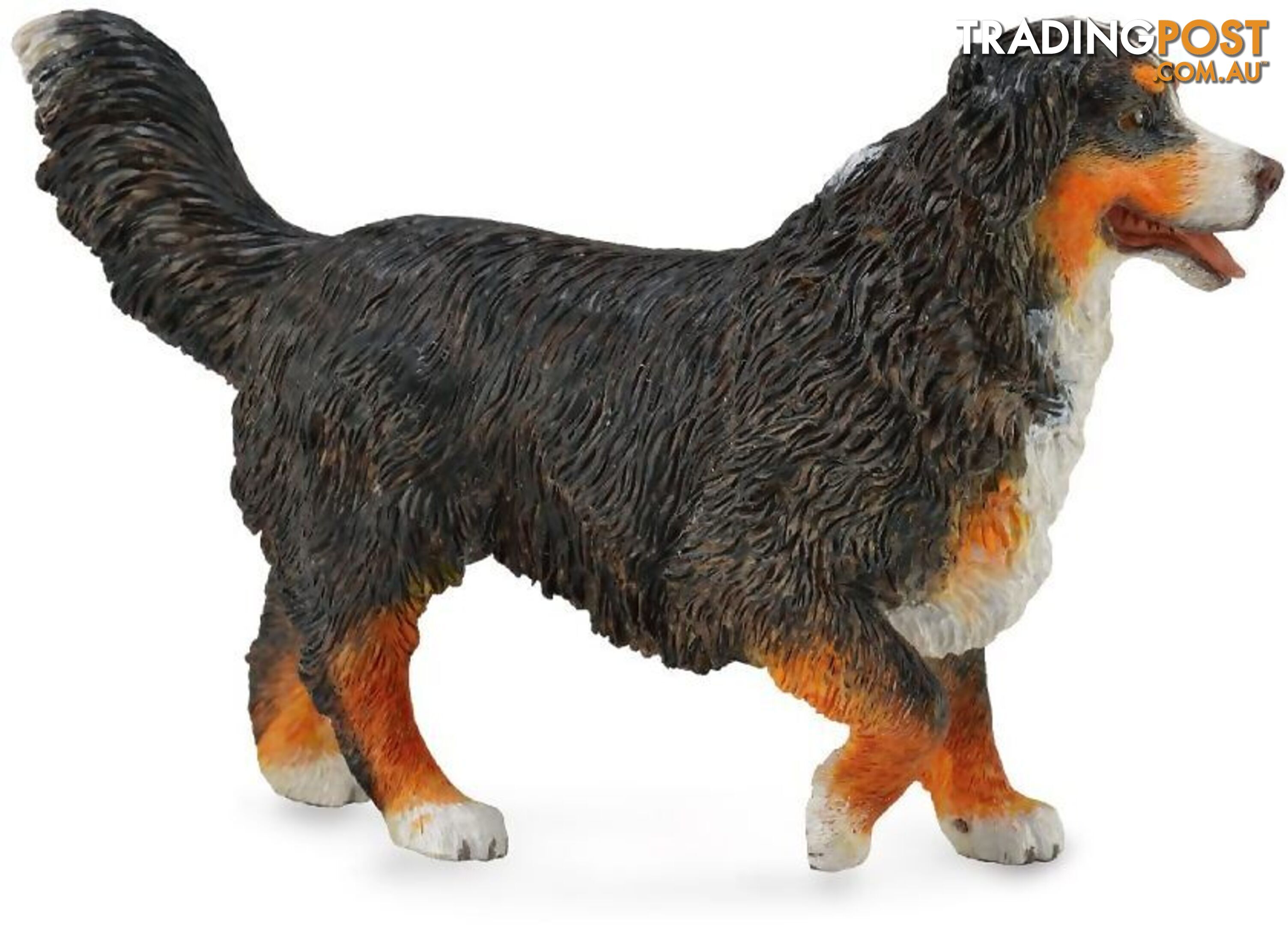 CollectA - Bernese Mountain Dog Figurine - Rpco88801 - 4892900888019