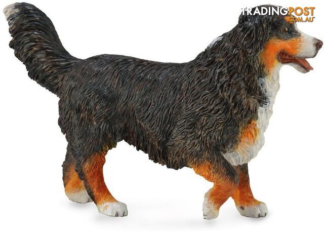 CollectA - Bernese Mountain Dog Figurine - Rpco88801 - 4892900888019