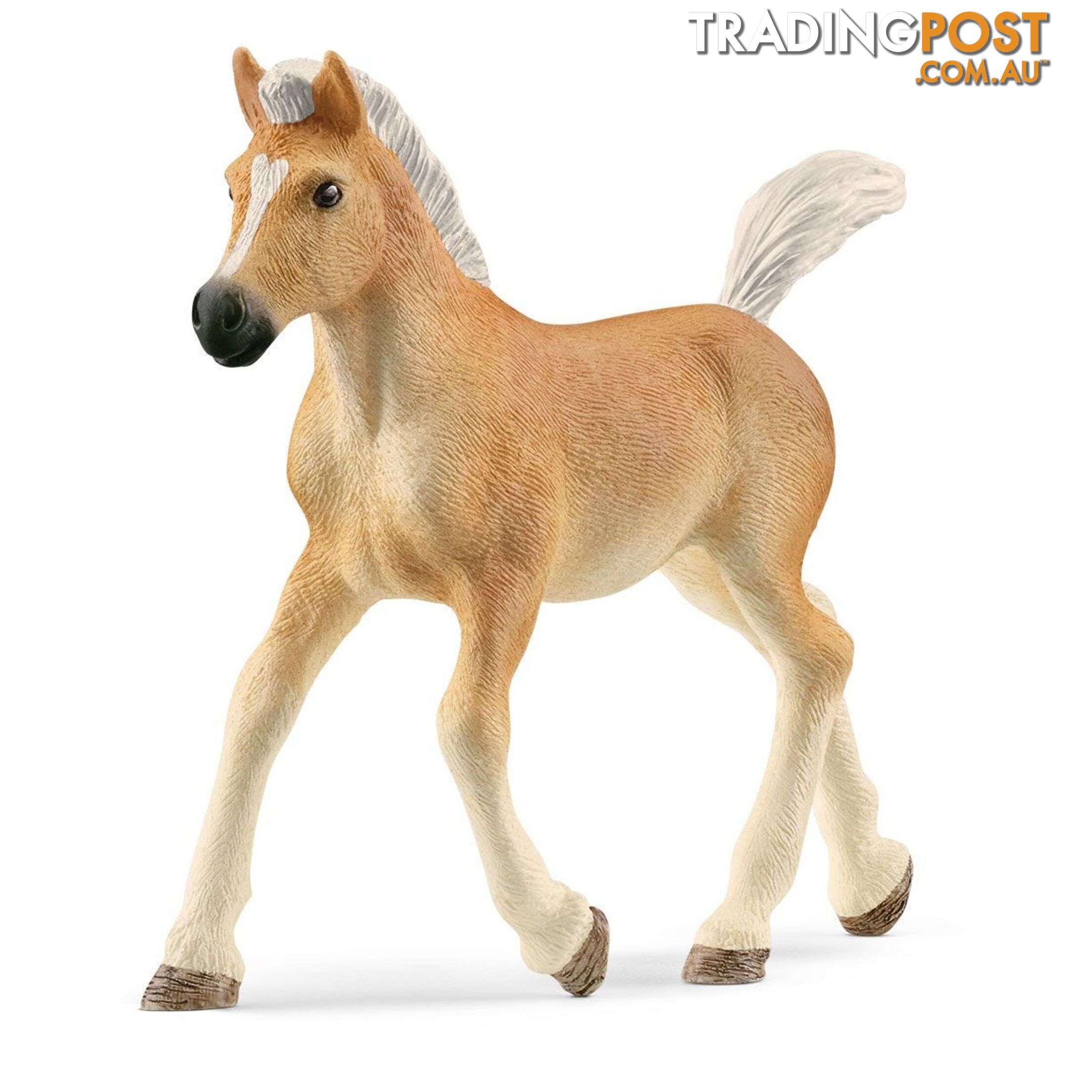 Schleich - Haflinger Foal Horse Figurine - Mdsc13951 - 4059433557519