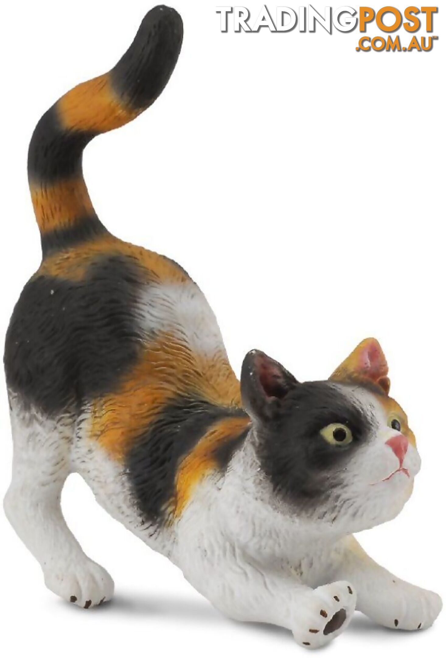 CollectA - 3 Colour Moggy House Cat Stretching Figurine - Rpco88491 - 4892900884912