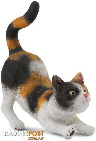 CollectA - 3 Colour Moggy House Cat Stretching Figurine - Rpco88491 - 4892900884912