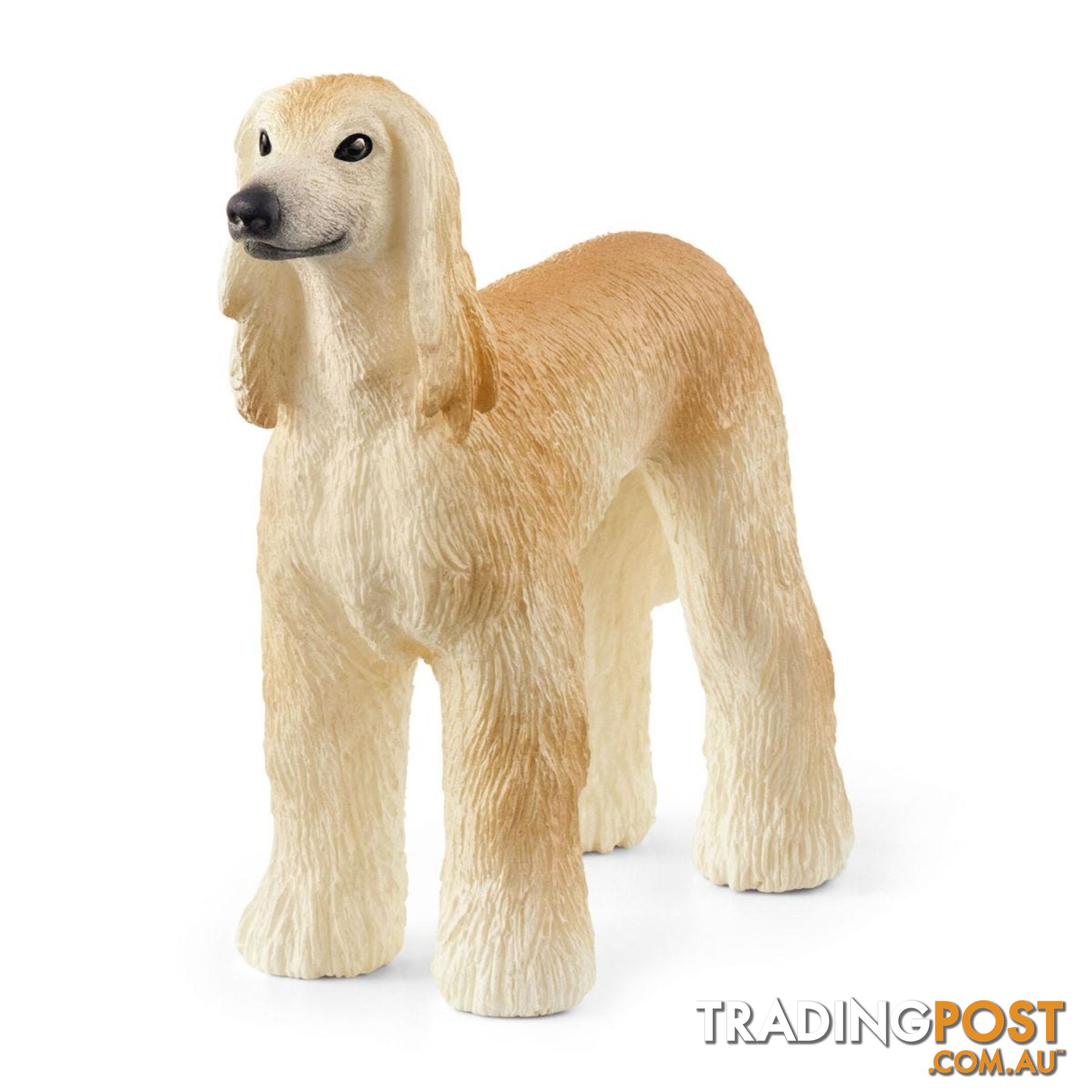 Schleich - Afghan Hound Dog Figurine - Mdsc13938 - 4059433362502