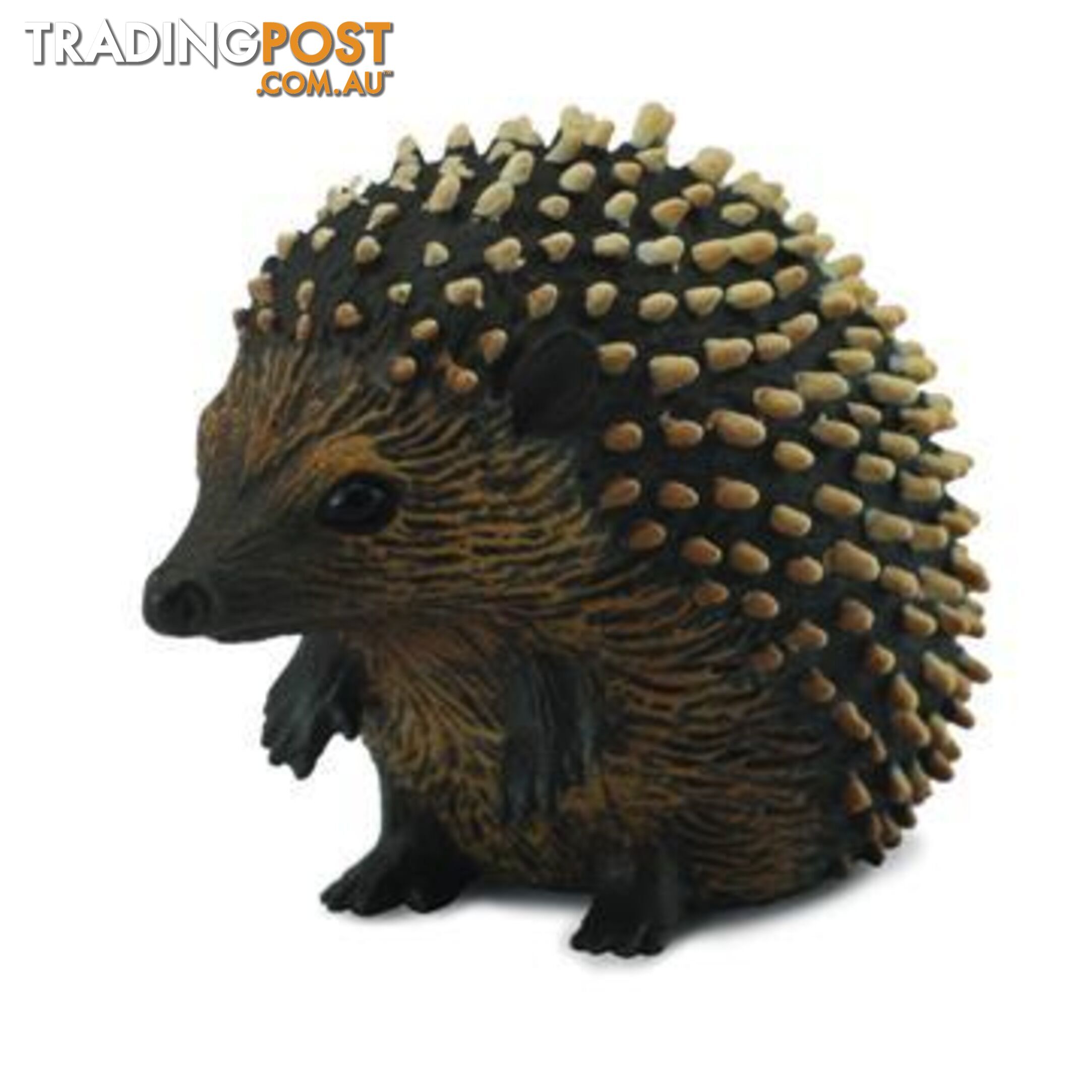 CollectA Hedgehog - Rpco88458 - 4892900884585