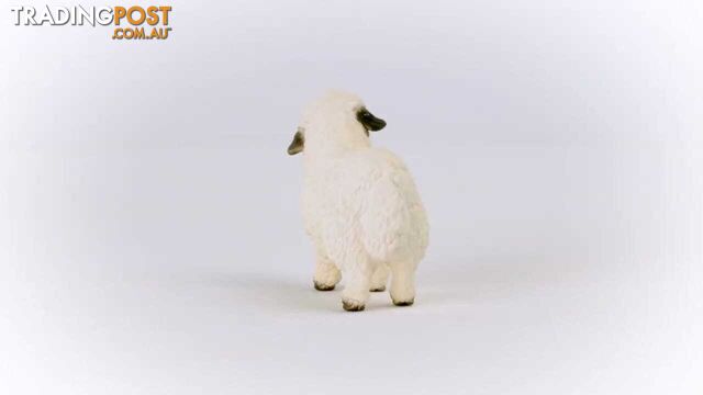 Schleich - Valais Blacknose Sheep - Farm World - Mdsc13965 - 4059433527628