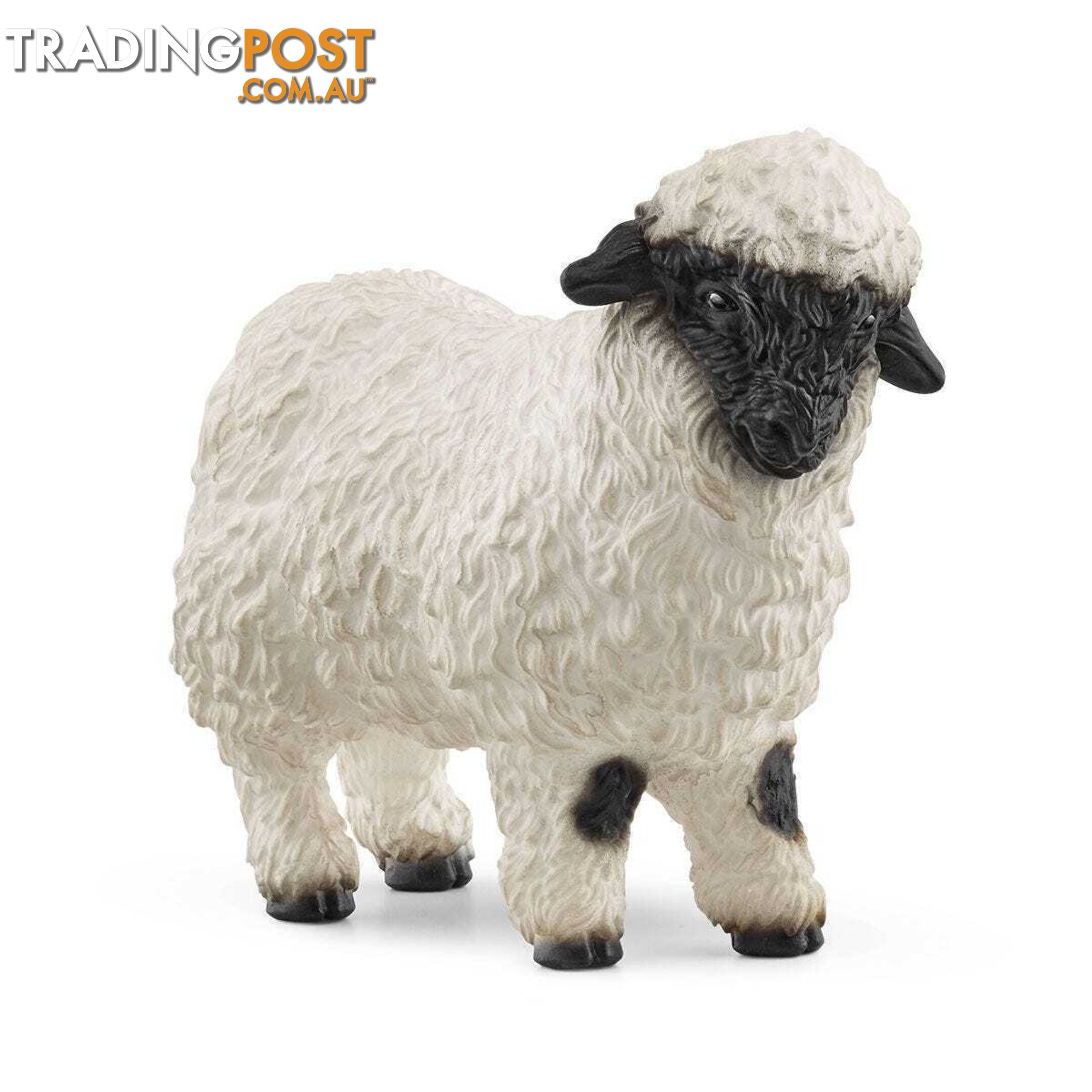 Schleich - Valais Blacknose Sheep - Farm World - Mdsc13965 - 4059433527628