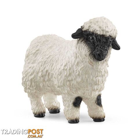 Schleich - Valais Blacknose Sheep - Farm World - Mdsc13965 - 4059433527628