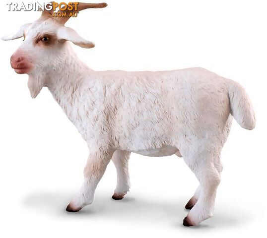CollectA - Billy Goat Medium Figurine - Rpco88212 - 4892900882123