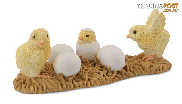 CollectA Chicks Hatching Animal Figurine - Rpco88480 - 4892900884806