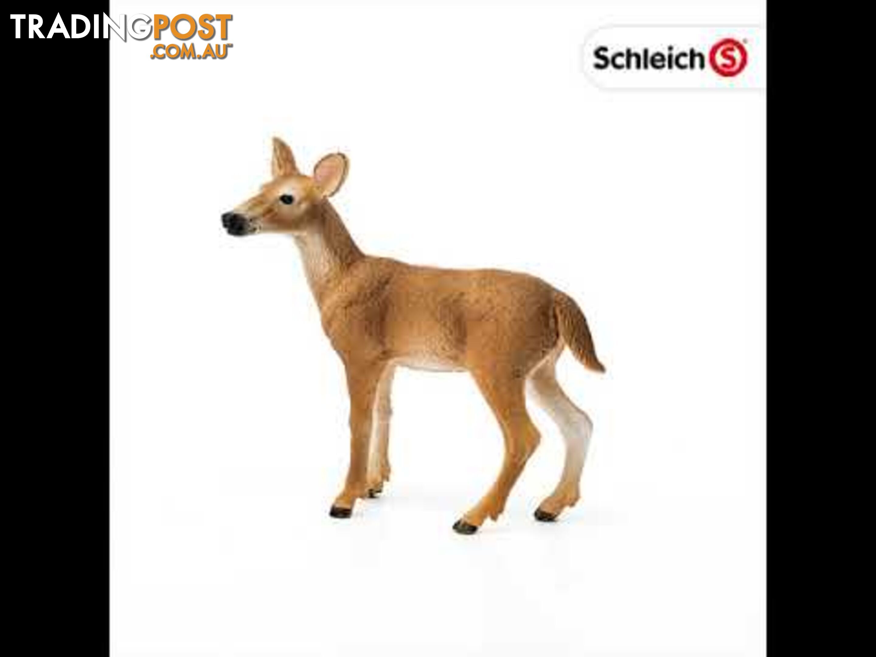 Schleich - White Tailed Doe Sc14819 - 4055744029615