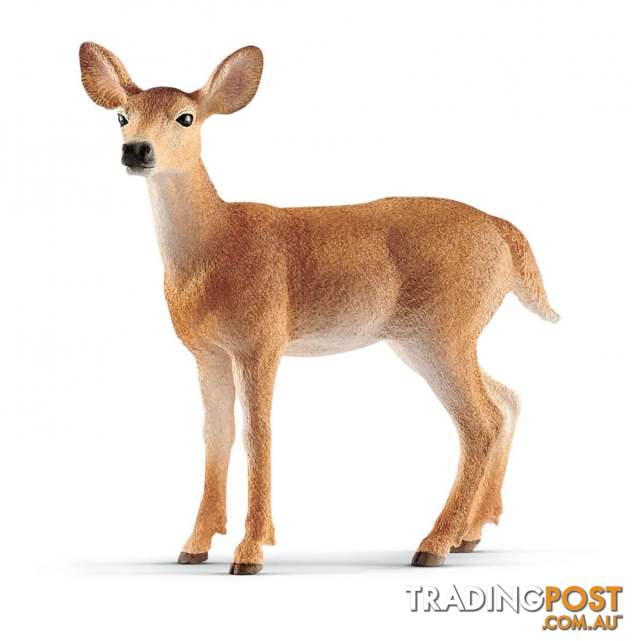 Schleich - White Tailed Doe Sc14819 - 4055744029615