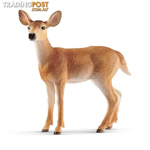 Schleich - White Tailed Doe Sc14819 - 4055744029615