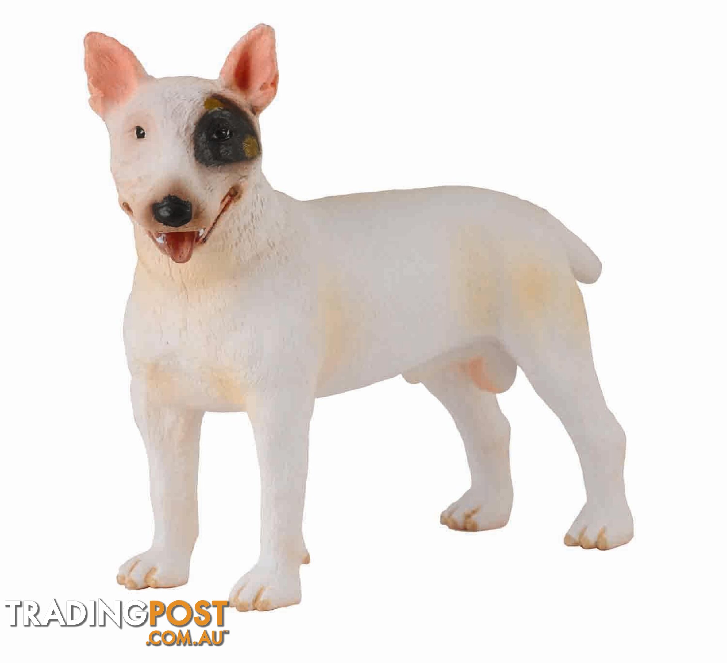 CollectA Bull Terrier Dog Male Animal Figurine - Rpco88384 - 4892900883847