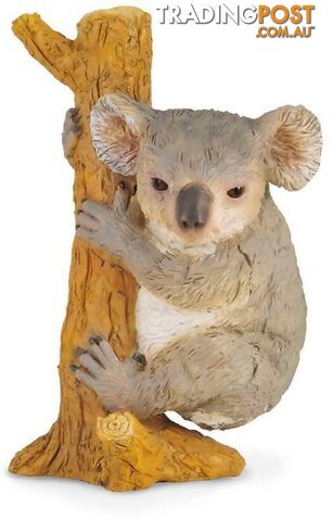 CollectA - Koala Bear Climbing Animal Medium Figurine - Rpco88356 - 4892900883564