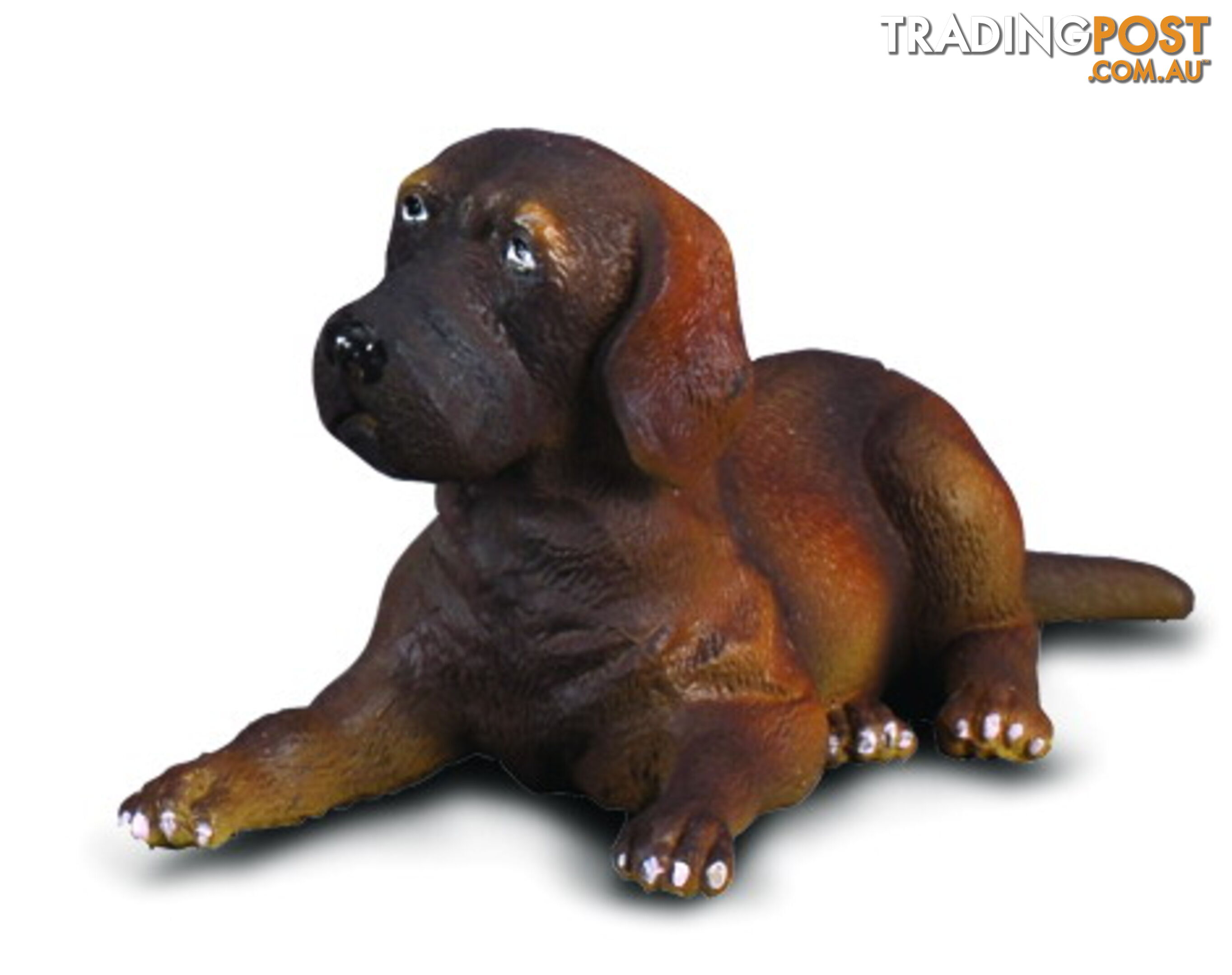 CollectA Great Dane Puppy Dog Small Animal Figurine - Rpco88065 - 4892900880655