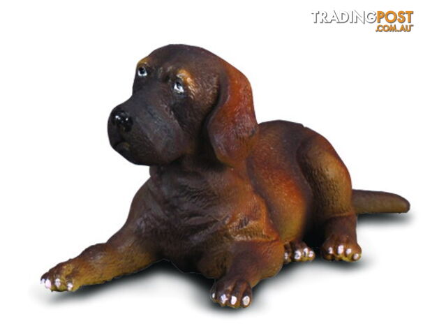 CollectA Great Dane Puppy Dog Small Animal Figurine - Rpco88065 - 4892900880655