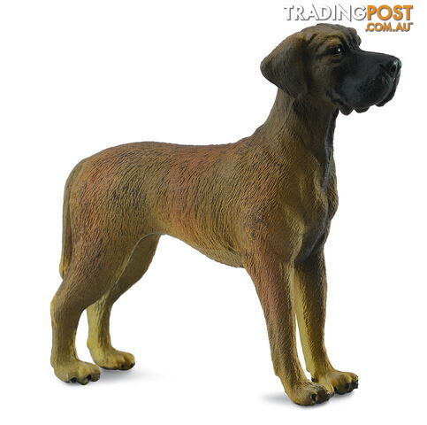 CollectA Great Dane Dog Large Animal Figurine - Rpco88062 - 4892900880624