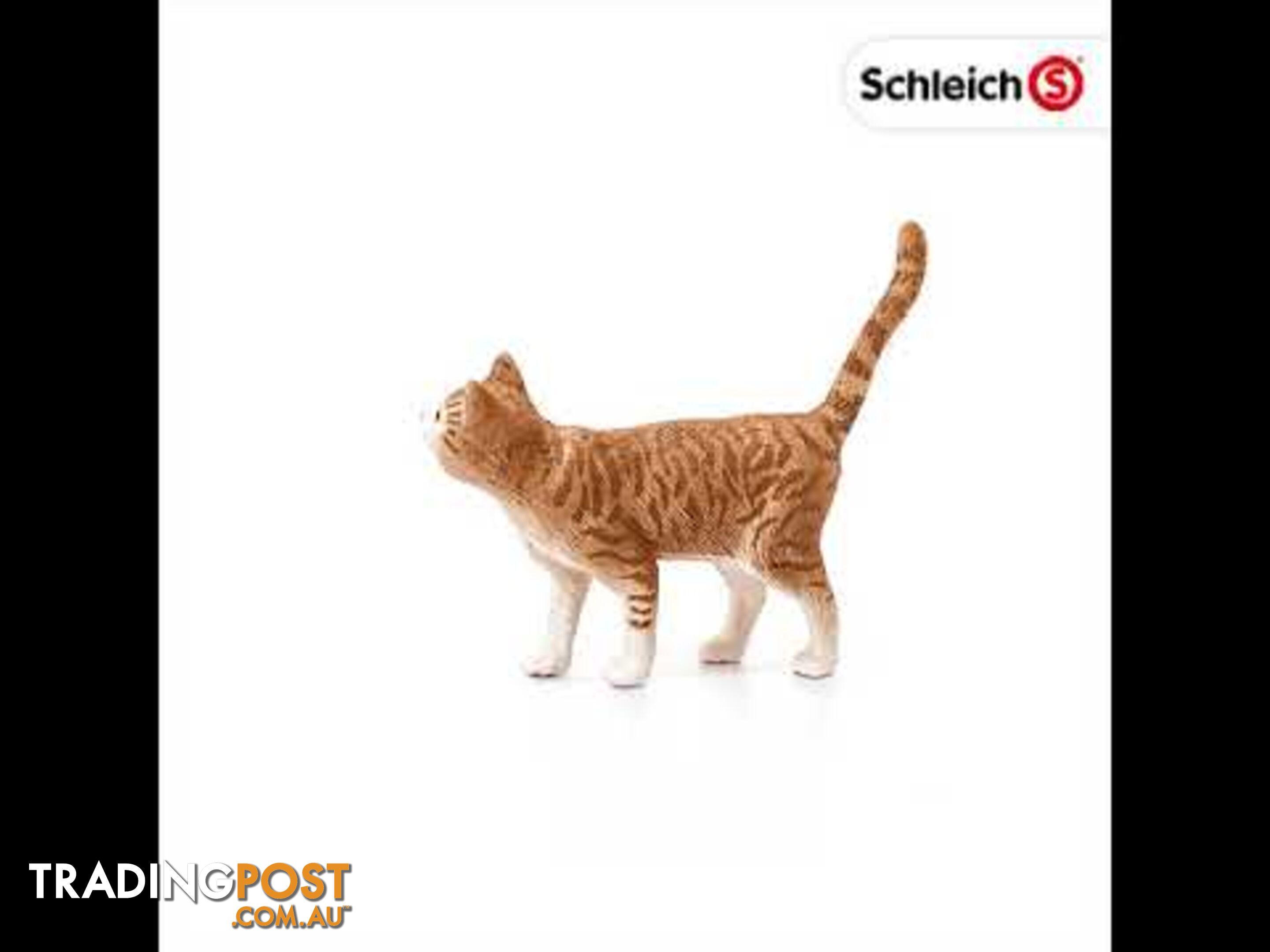 Schleich - Cat Sc13836 - 4055744012570