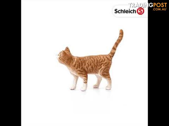 Schleich - Cat Sc13836 - 4055744012570