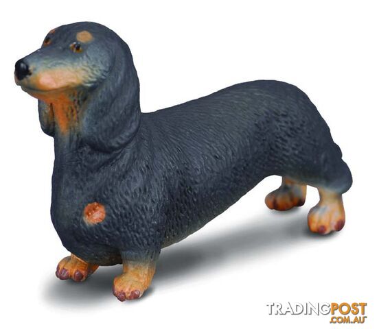 CollectA Dachshund Dog Animal Figurine - Rpco88185 - 4892900881850