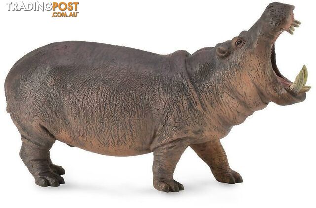 CollectA - Hippopotamus Extra Large Animal Figurine - Rpco88833 - 4892900888330